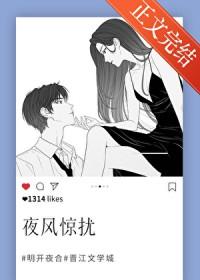夜风惊扰by明开夜合免费阅读讲的什么