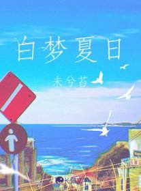 白日梦下册