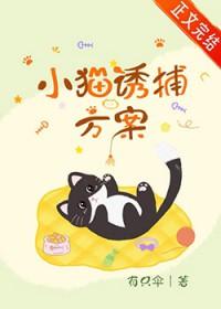 如何诱捕幼猫