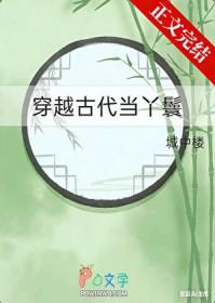 穿越古代当丫鬟日常唐宁
