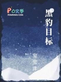 黑豹战绩