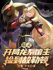 精灵开局龙系馆主捡到故勒顿