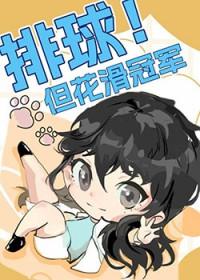 排球之花
