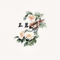 玉茗花