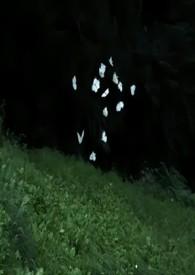 蔚然(兄妹骨科) 韩金玉