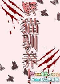 野猫驯养魏承泽TXT百度