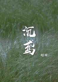 沉鸢辞