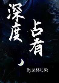 深度占有(高干)第二