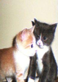 娇小姐在八零年代享福免费阅读