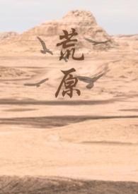 荒原 无删减